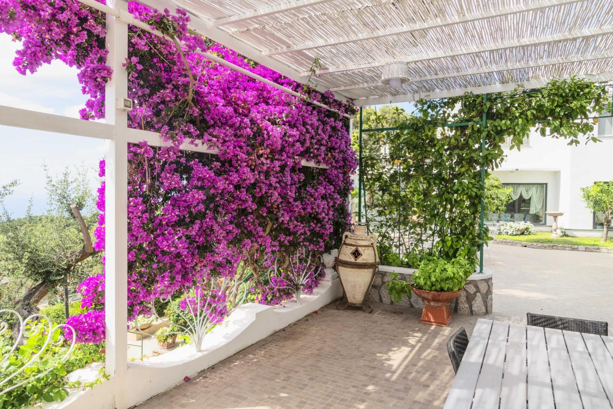 La Canostra Capri - Luxury Room Ad Anacapri Kültér fotó